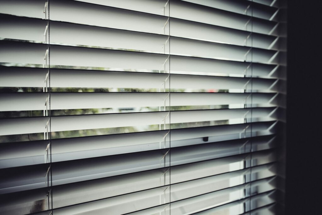 External Venetian Blinds